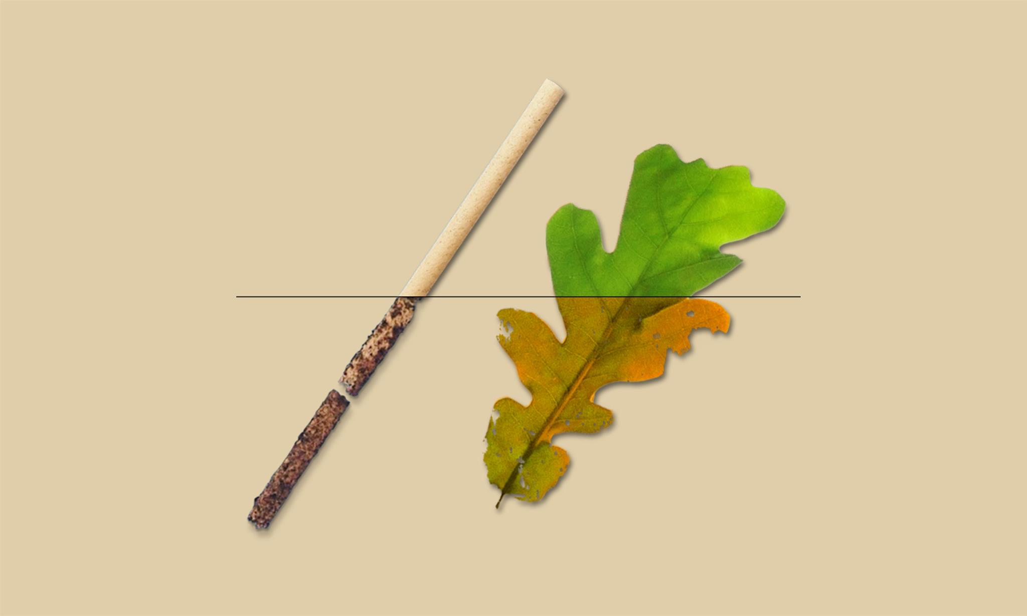 The Sulapac Straw biodegrades without leaving permanent microplastics behind