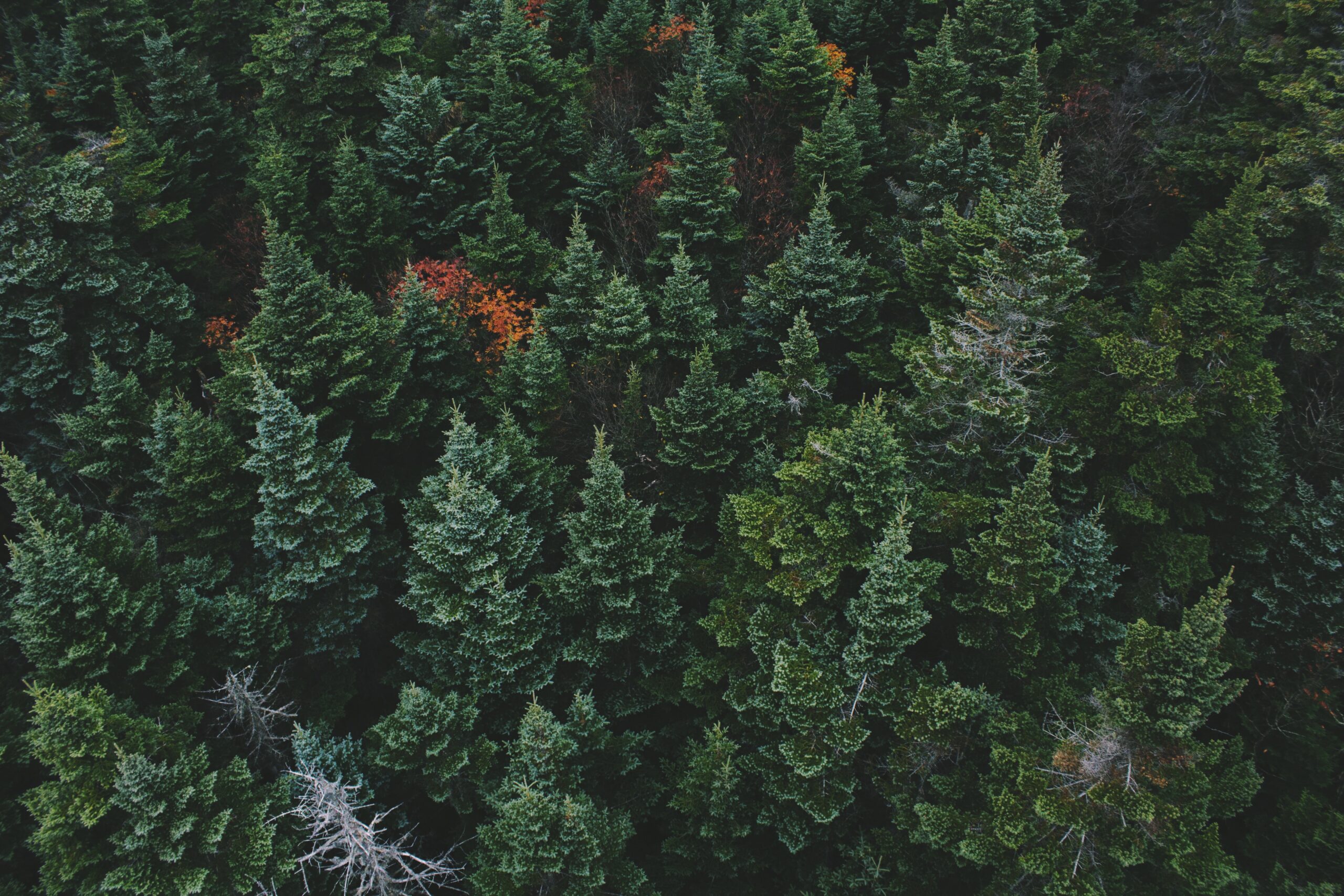Sulapac® is an internationally awarded sustainable material innovation that can replace conventional plastic. It biodegrades without leaving permanent microplastics behind. Sulapac is beautiful, functional and sustainable. Like nature.